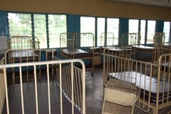 washington-2010-1-017